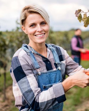 woman-worker-collecting-grapes-in-vineyard-in-autu-GA536TA.jpg